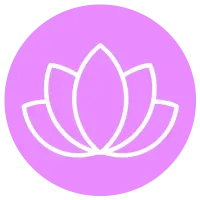 fleur lotus
